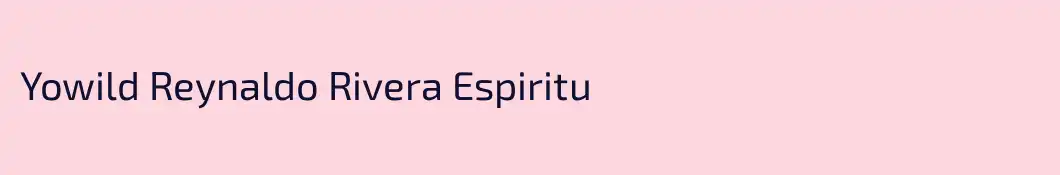 Yowild Reynaldo Rivera Espiritu